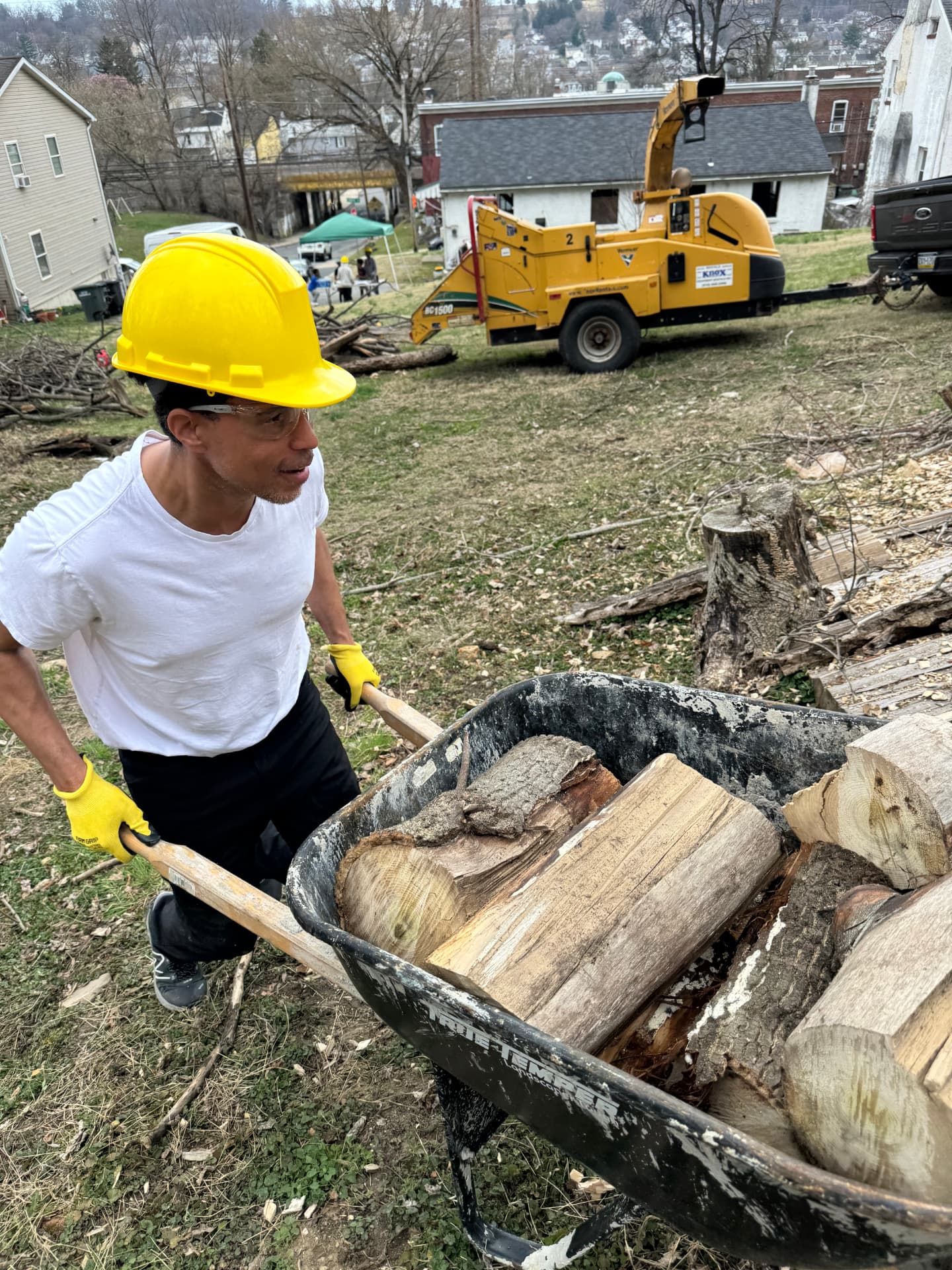 A volunteer hauling cut logs in a wheelbarrow during a community cleanup